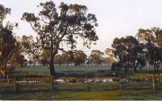 Ardwick Homestead - Accommodation Tasmania 1