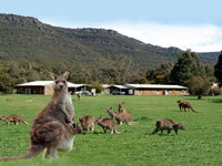 Halls Gap Log Cabins - Accommodation Tasmania 2
