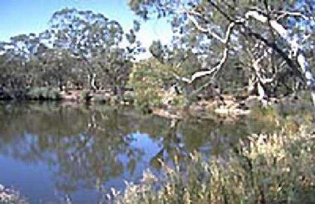 Riverside Host Farm - Accommodation Tasmania 1