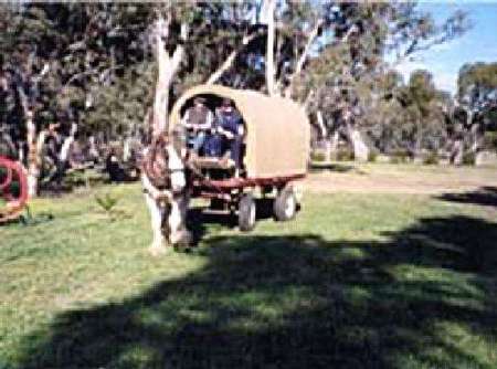 Riverside Host Farm - Accommodation Tasmania 3