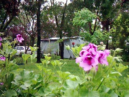 Beach Park Tourist Caravan Park - Accommodation Tasmania 2
