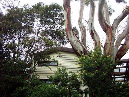 Beach Park Tourist Caravan Park - Accommodation Tasmania 3