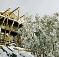 Silverski - Accommodation Tasmania