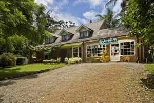 Tamborine Mountain QLD Accommodation Tasmania