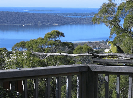 Bed in the Treetops - Accommodation Tasmania