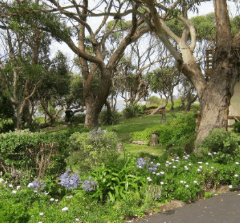 Anchlia Waterfront Cottage - Accommodation Tasmania 2
