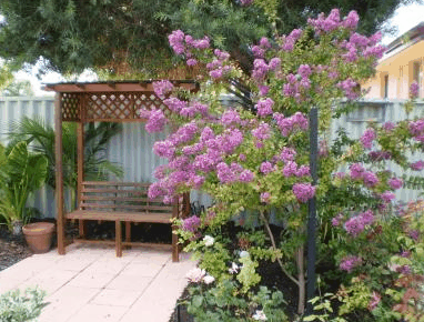 Baudins Of Busselton - Accommodation Tasmania 2