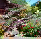 Chestnut Brook Cottage - Accommodation Tasmania