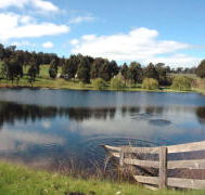 Glenlynn Cottages - Accommodation Tasmania