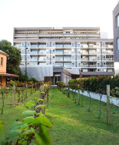 Honeysuckle Executive Apartments - Accommodation Tasmania 0