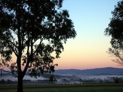 Bluebush Estate - Accommodation Tasmania 0