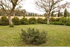 Claremont Cottage - Accommodation Tasmania 2