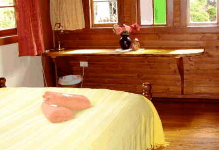 Nimbin Holiday Accommodation & Guest House - Accommodation Tasmania 5