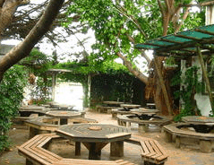 Monarch Motel Hotel - Accommodation Tasmania 1