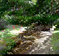 Coco's Country Cottage - Accommodation Tasmania