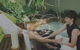 Peppers Spa - Palm Cove - thumb 3