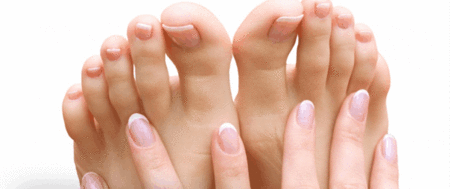 Ella Bache - Accommodation Tasmania 1