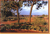 Kings Creek Station - Accommodation Tasmania 1