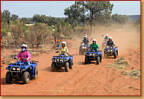 Kings Creek Station - Accommodation Tasmania 3