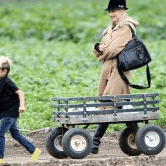 Perth City Farm Organic Markets - Accommodation Tasmania