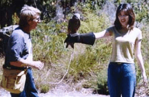 Eagles Heritage Raptor Wildlife Centre - Accommodation Tasmania 2