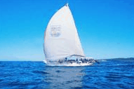 Manly Harbour Village - Accommodation Tasmania