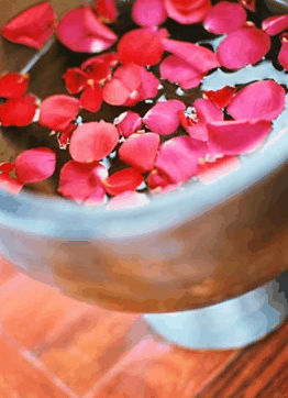 Ripple Brisbane Massage Day Spa And Beauty - Accommodation Tasmania 2