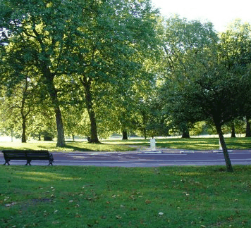 Roma Street Parkland - Accommodation Tasmania