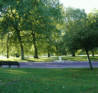 Riverdale Park - Accommodation Tasmania