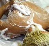 Exotique Massage - Accommodation Tasmania