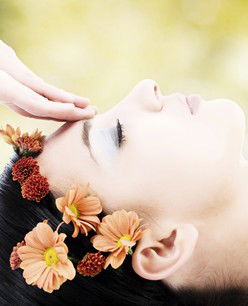 Retreat In The Suburbs - Accommodation Tasmania 2