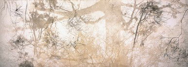 Dianne Tanzer Gallery & Projects - Accommodation Tasmania 3