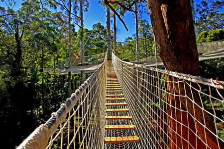 North Tamborine QLD Accommodation Tasmania