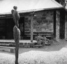 The Baldessin Press - Accommodation Tasmania