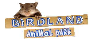 Birdland Animal Park - Accommodation Tasmania