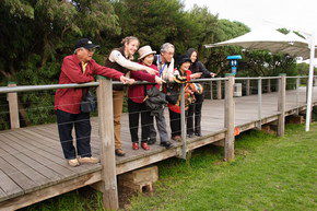Phillip Island Penguin Parade - Accommodation Tasmania 1