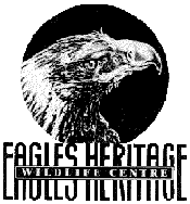 Eagles Heritage - Accommodation Tasmania
