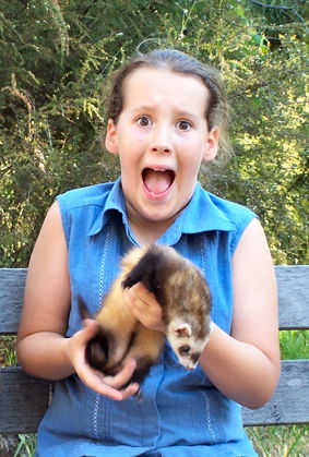 Peel Zoo - Accommodation Tasmania 1