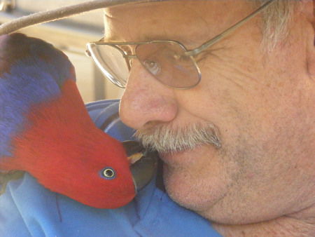 Peel Zoo - Accommodation Tasmania 3