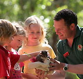 Cleland Wildlife Park - Accommodation Tasmania