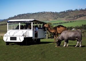 Zoo Doo Wildlife Park - Accommodation Tasmania 2