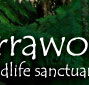 Warrawong Wildlife Park - Accommodation Tasmania