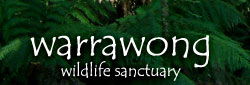 Warrawong Wildlife Park - Accommodation Tasmania 0