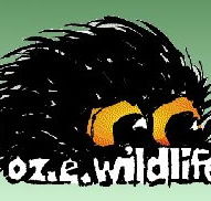 OZe Wildlife - Accommodation Tasmania