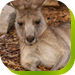 Calmsley Hill City Farm - Accommodation Tasmania 0