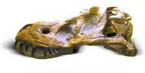 Australia Walkabout Wildlife Park - Accommodation Tasmania 2