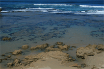 Canberra Contemporary Art Space - Accommodation Tasmania