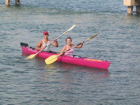 Swan Boat Hire - Accommodation Tasmania 2