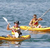 Manly Kayaks - Accommodation Tasmania