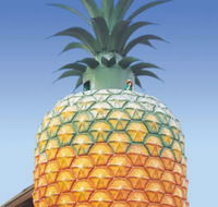 The Big Pineapple - Accommodation Tasmania